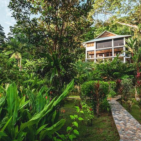 Roam Yoga & Wellness Lodge Bocas Town Ngoại thất bức ảnh