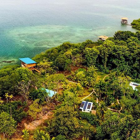 Roam Yoga & Wellness Lodge Bocas Town Ngoại thất bức ảnh