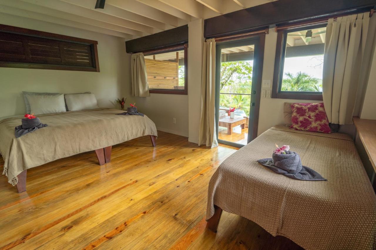 Roam Yoga & Wellness Lodge Bocas Town Ngoại thất bức ảnh