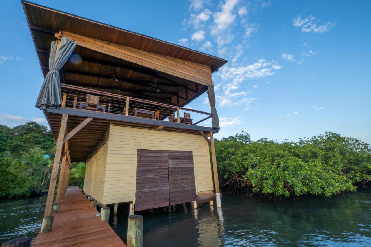 Roam Yoga & Wellness Lodge Bocas Town Ngoại thất bức ảnh