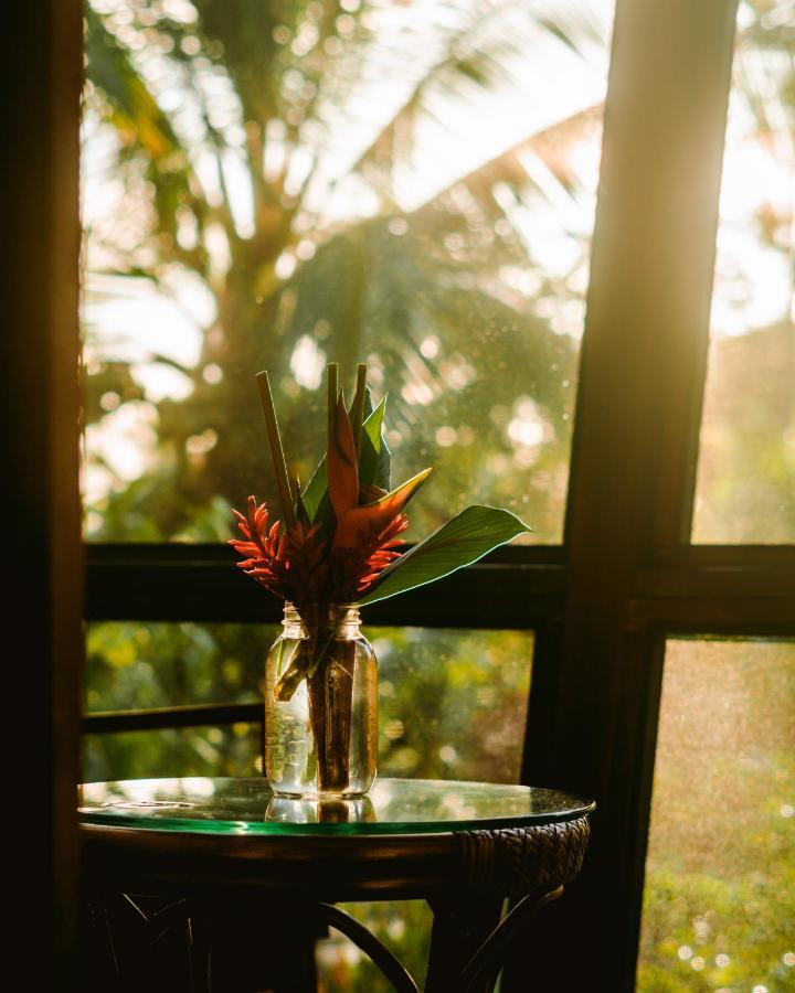 Roam Yoga & Wellness Lodge Bocas Town Ngoại thất bức ảnh