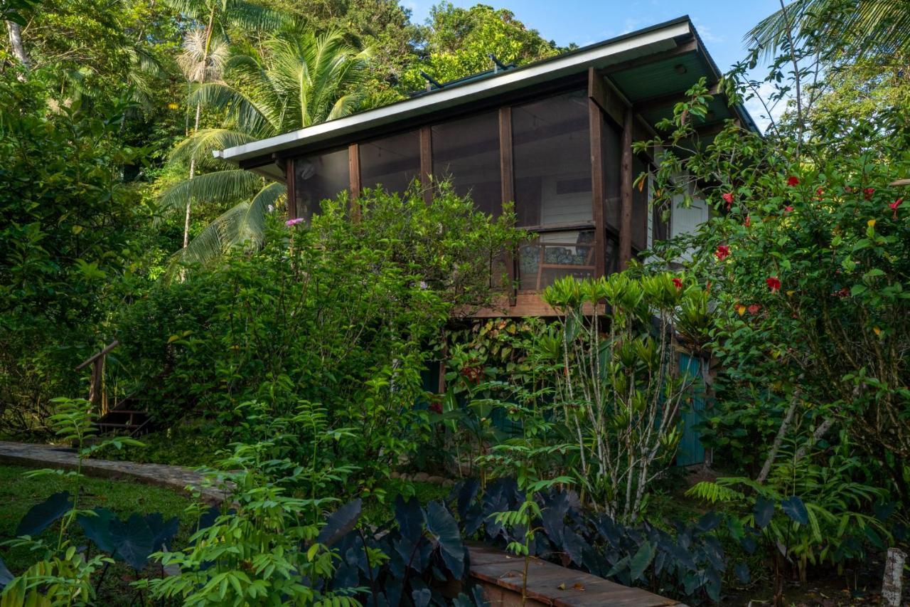 Roam Yoga & Wellness Lodge Bocas Town Ngoại thất bức ảnh