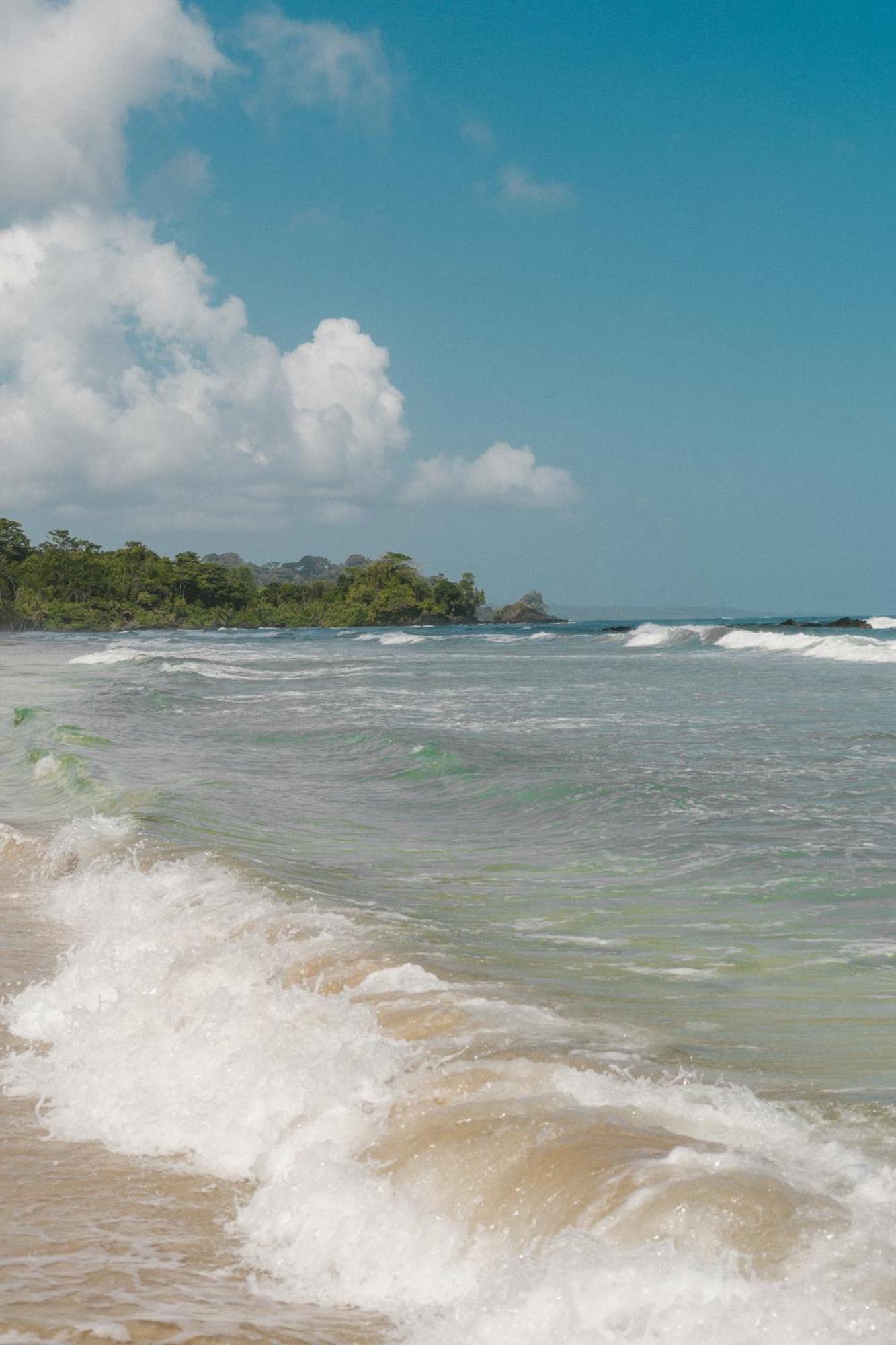 Roam Yoga & Wellness Lodge Bocas Town Ngoại thất bức ảnh