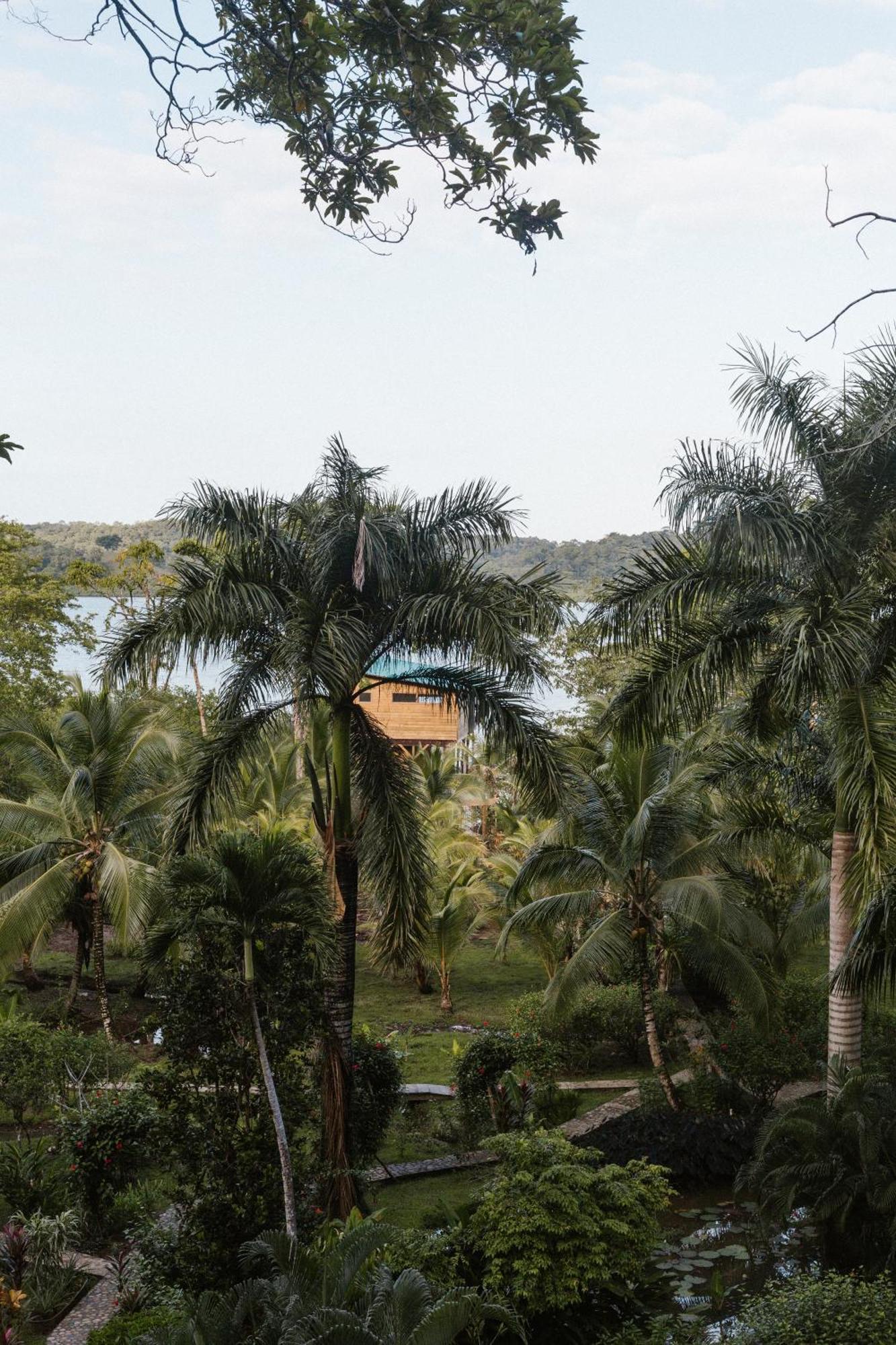 Roam Yoga & Wellness Lodge Bocas Town Ngoại thất bức ảnh