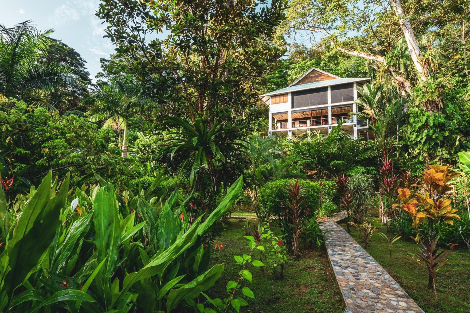 Roam Yoga & Wellness Lodge Bocas Town Ngoại thất bức ảnh