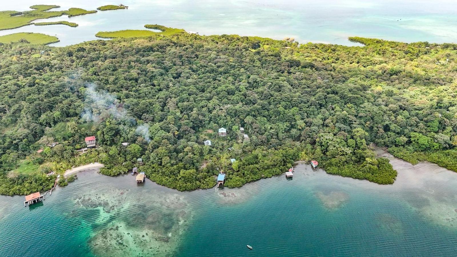 Roam Yoga & Wellness Lodge Bocas Town Ngoại thất bức ảnh